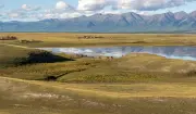 Mongolia's Permafrost Melt: Climate Crisis Reshapes Ecosystem