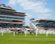 Mystery ashes left at Newbury racecourse burger van to be buried