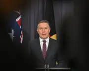 NDIS inquiry extension could cost billions, Mark Butler warns