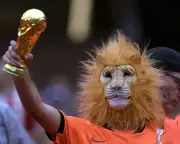 Netherlands World Cup 2026: Football Daily Newsletter