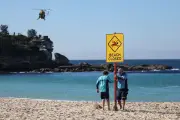 NSW Minister: Drone Exemption Granted for Shark Monitoring at Coogee Beach