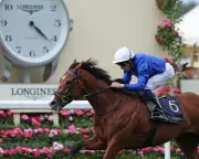 Ombudsman Dominates Royal Ascot's Prince of Wales's Stakes with Stunning Victory
