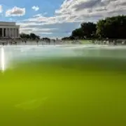 Paint Peels on Trump's $14.7M Reflecting Pool After Algae Bloom