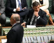 Parliament's final week before winter break: NDIS, tax, gambling ads in focus
