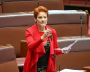 Pauline Hanson proposes parental leave funded by small business levy