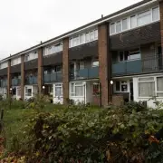 Pest control call-outs to Sutton Council homes soar 700% in five years
