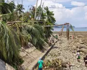 Philippine Quake Raised Seabed by 2 Metres, Killing Marine Life