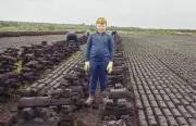 Photographer Shane Hynan Explores Ireland's Peat Bog Tensions