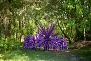 Piglet: The Purple Psychedelic Shapeshifter of Winnie-the-Pooh's Ashdown Forest