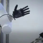 Prosthetic Arms Teach Robots to Feel Like Humans in New Tech Collaboration