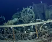 Race to Protect Shackleton's Endurance from Warming Seas and New Species