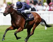 Royal Ascot 2026 Day Two: Highlights and Key Races Recap