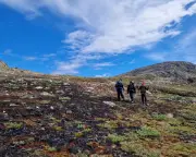 Scientists alarmed by unprecedented wildfires in Greenland