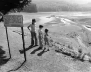 Share Your Memories of the 1976 UK Heatwave