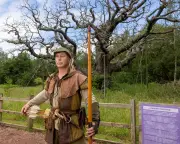 Sherwood Forest's 1,000-Year-Old Major Oak Dies After Hot Summers