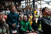 Socceroos fans pack pubs and skip work as draw sends Australia to World Cup knockouts