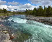 Solo Midnight Sun Road Trip: Norway's Cinematic Solitude