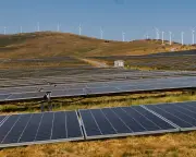 Spanish households save €10 a month due to renewables expansion, report finds