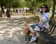 Surviving Record Paris Heatwave While Seven Months Pregnant: A Diary