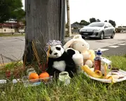 Sydney mother's anguish after children in pram killed by car in Cabramatta