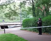Three Teenagers Arrested Over Murder of Man in Chelmsford Park
