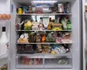 To Fridge or Not to Fridge: Share Your Food Storage Views