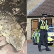 Toddler mauled by crocodile after being thrown into pit at UK zoo
