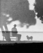 Tony Hertz's best phone picture: Shadow Dog captures love for his dog Lolly