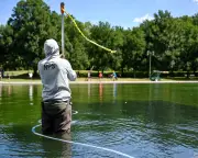 Trump blames vandalism for DC reflecting pool algae after $14.2m renovation
