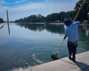 Trump Drains Reflecting Pool at National Mall, Sparks Controversy