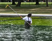 Trump's Reflecting Pool Renovation Mirrors Hubris in Iran War