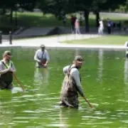Trump's Reflecting Pool Turns Green Again Weeks After Blue Paint Job