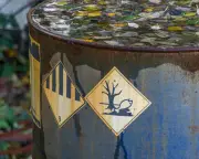 UK Campaigners Sue Government Over Chemical Hazard 'Fast-Track' Plan