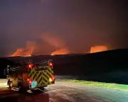 UK Heatwave: How to Protect Landscape and Wildlife in a Hotter World