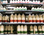 UK Inflation Holds at 2.8% as Food Price Rise Slows, Offsetting Transport Costs