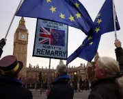 UK's EU Rejoin Debate Lacks European Perspective, Says Historian