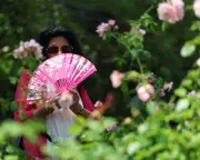 UK's Extreme Heat Adaptation Plans Dangerously Lagging, Warns Guardian Editorial