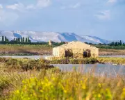 Vendicari Nature Reserve: Sicily's Unspoilt Haven for Migratory Birds