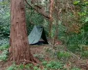 Visually impaired students find peace building a den in Edinburgh woods