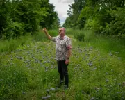Wakelyns Farm Needs £1.2m to Save Agroforestry Pioneer and Micro Enterprises