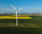 Weakening UK net zero policy would damage economy, says climate adviser