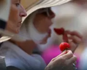 Wimbledon 2025: Strawberries, Protests, and Perfectly Trimmed Hedges