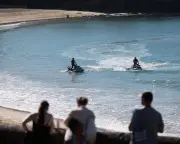 Woman Critically Injured in Shark Attack at Sydney's Coogee Beach