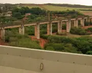 Woman Dies After Brazil Rope Jump Instructors Throw Her Without Harness