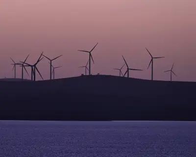 Anti-wind campaigns undermine Australia's green energy support, survey finds