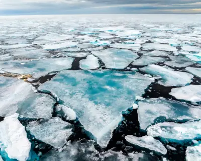 Arctic Sea Ice Decline Resumes After Record Winter Drop of 5.8%