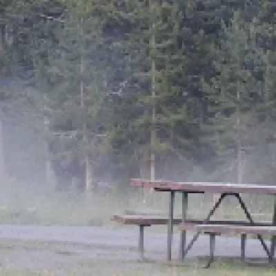 Bison hurls man 8ft in air at Yellowstone, breaking his hip