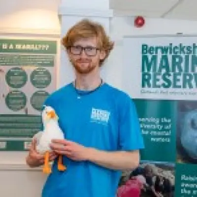 Britain's first 'gull ranger' starts work to improve human-seagull relations