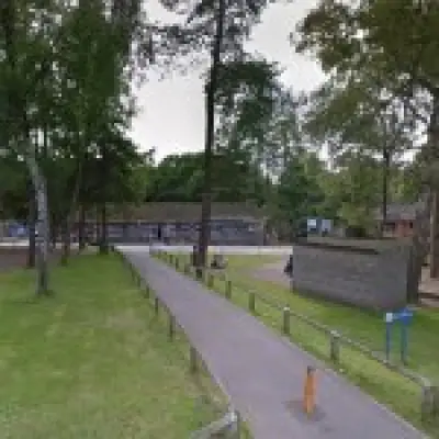 Children among 18 injured after tree falls on Surrey activity centre