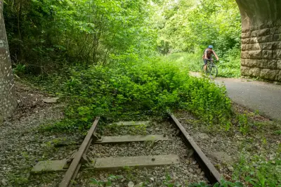 Country diary: Exploring Colliers Way, a disused railway line turned cyclepath in Somerset
